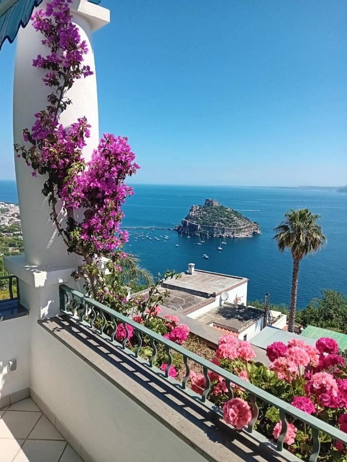 La Pergola Del Torchio Acomodação com café da manhã Ísquia Exterior foto