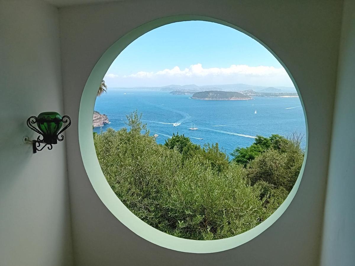 La Pergola Del Torchio Acomodação com café da manhã Ísquia Exterior foto